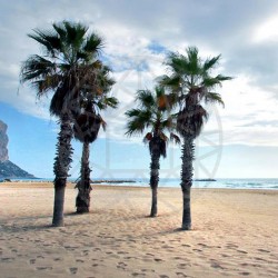 Sapphire Invest - Vastgoed Makelaar - Real Estate - Costa Blanca - ref. 8270 - 11